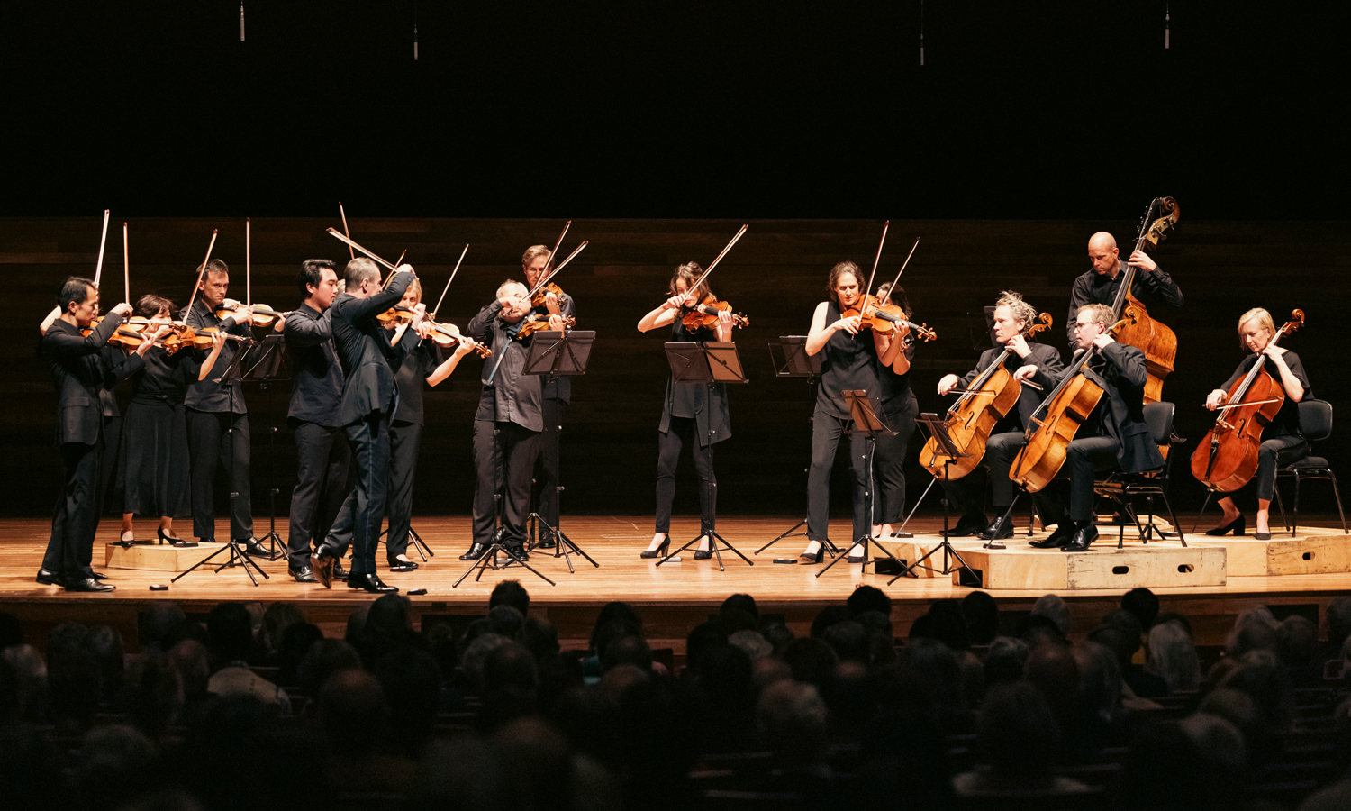 Australian Chamber Orchestra Dvořák’s Serenade