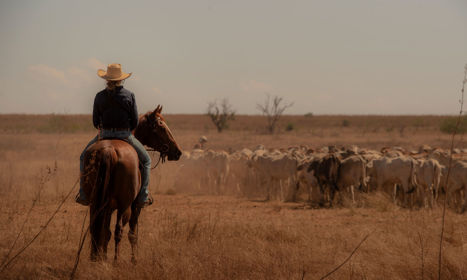 Netflix western Territory